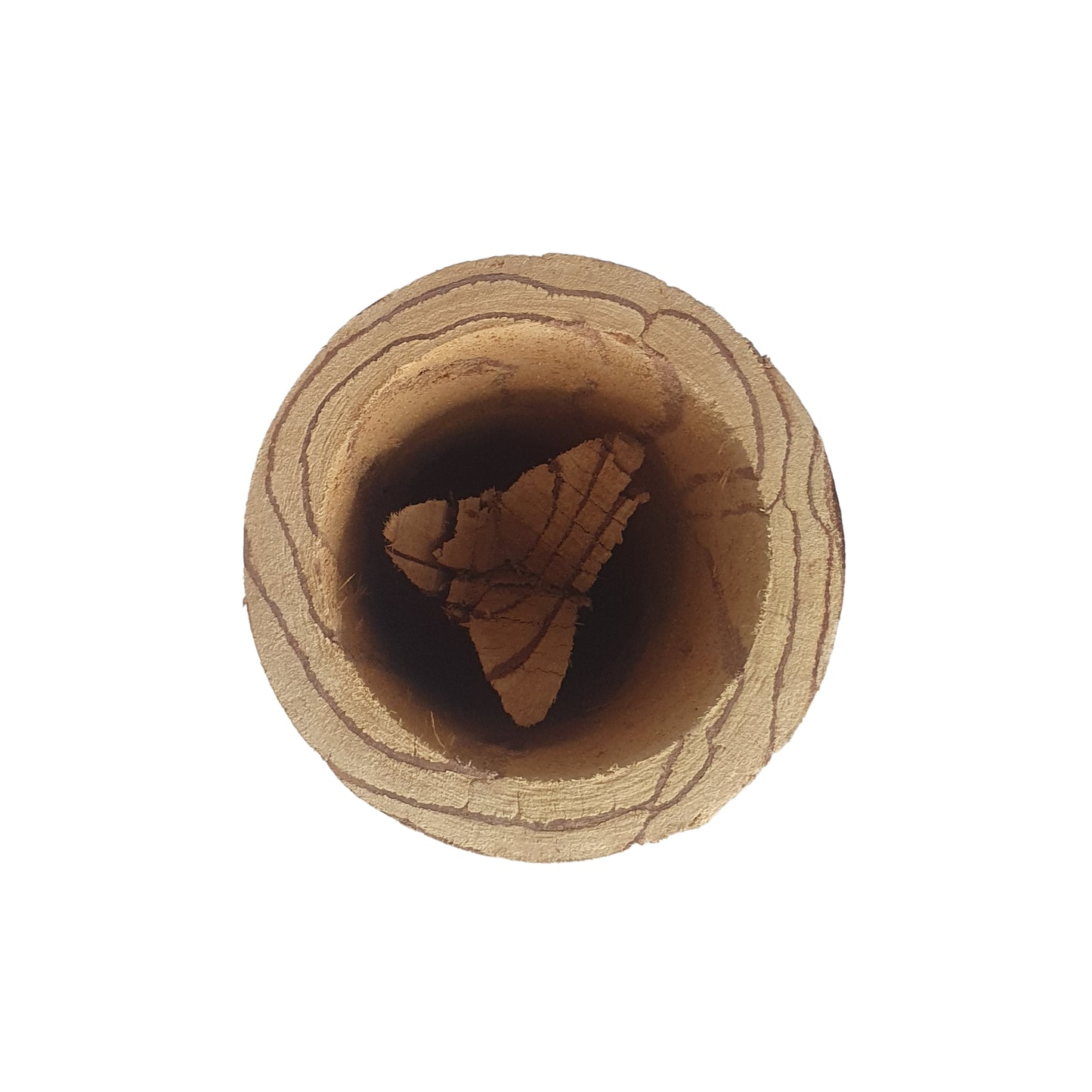 Кружка Lakpura® Kothala Himbutu (Salacia reticulata)