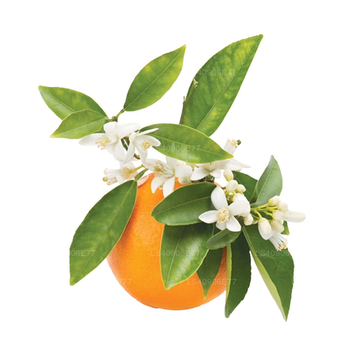 Lakpura Petitgrain æterisk olie (15 ml)