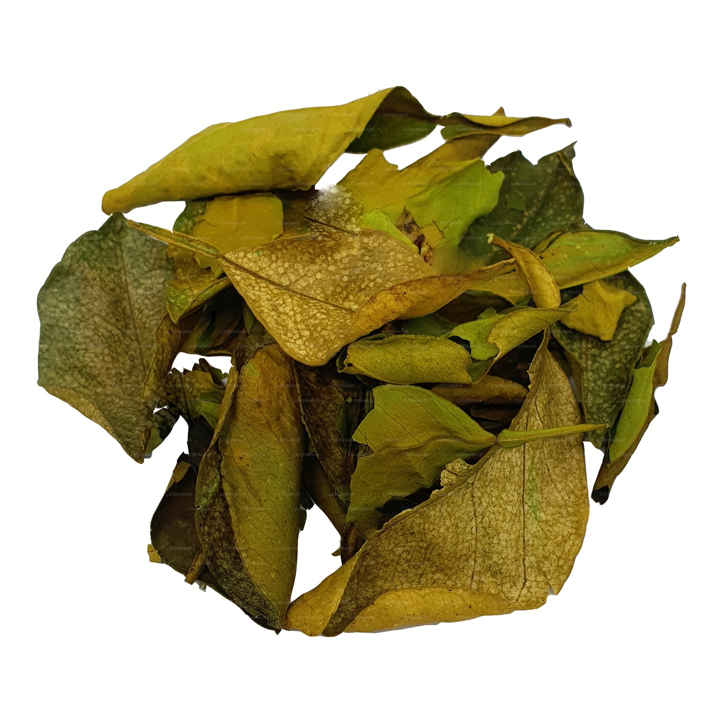 Foglie di Yaki Naran (Atalantia Ceylanica) disidratate Lakpura (100g)