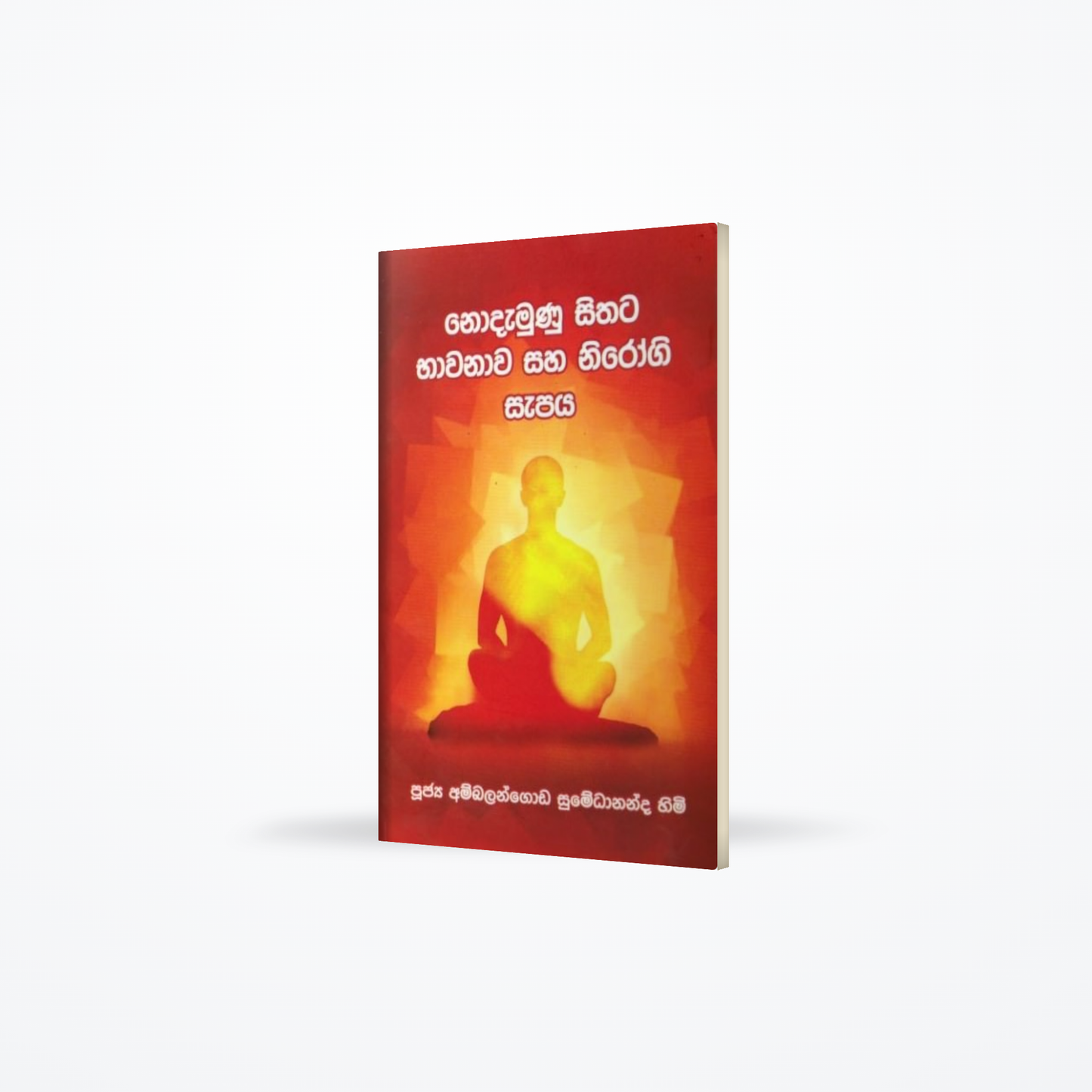 Nodamunu Sithata Bhawanawa Saha Nirogi Sapaya