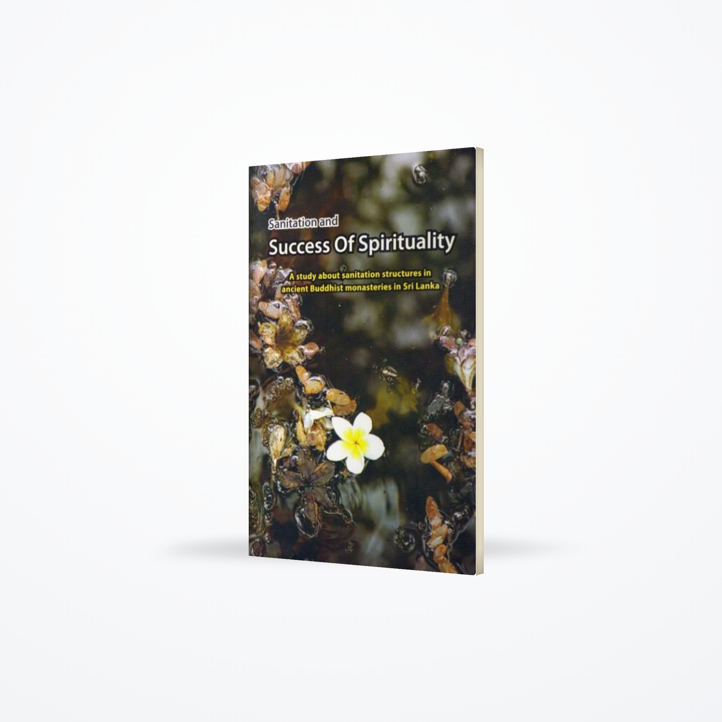 Sanitation and Success of Spirituality