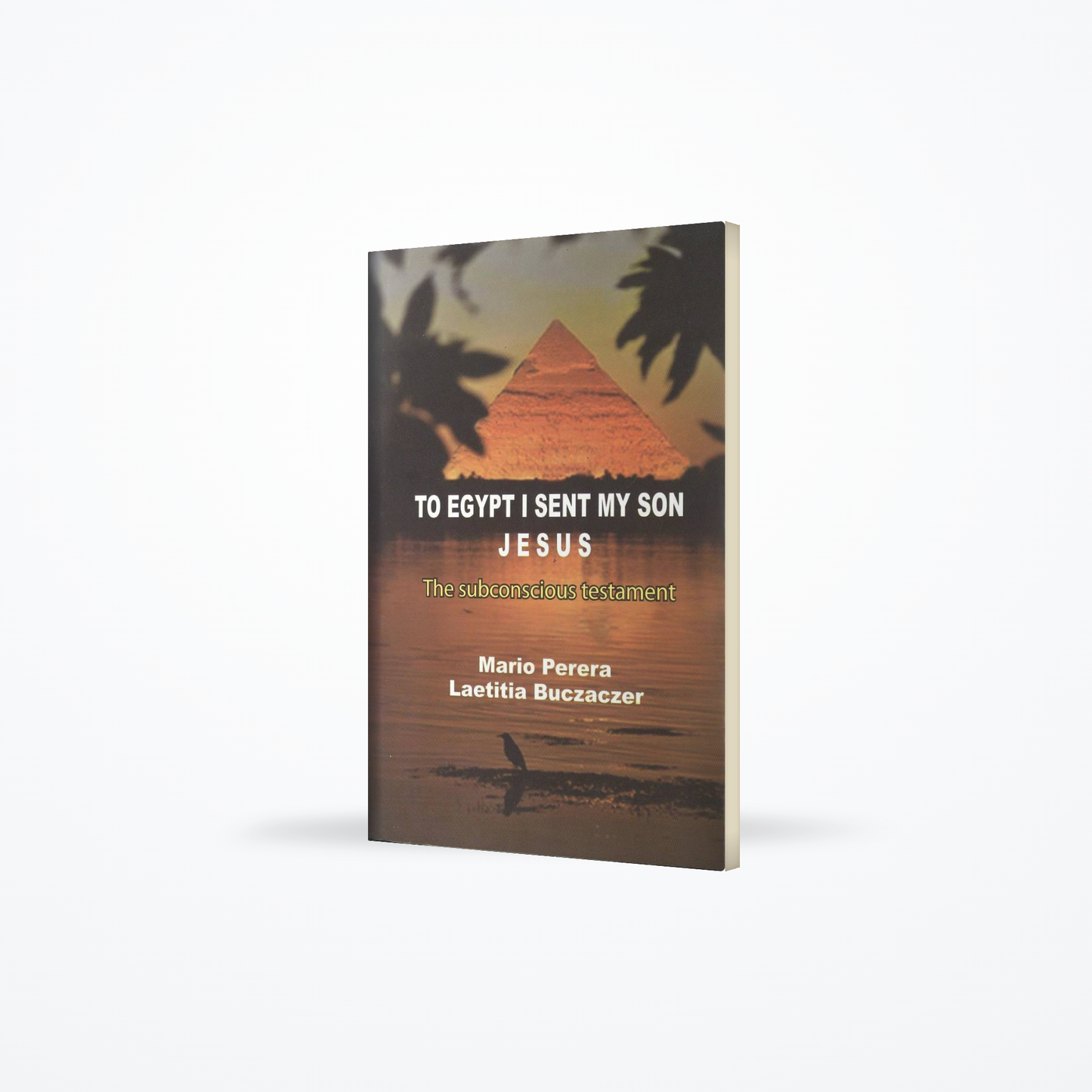 To Egypt I sent my son Jesus The subconscious testament