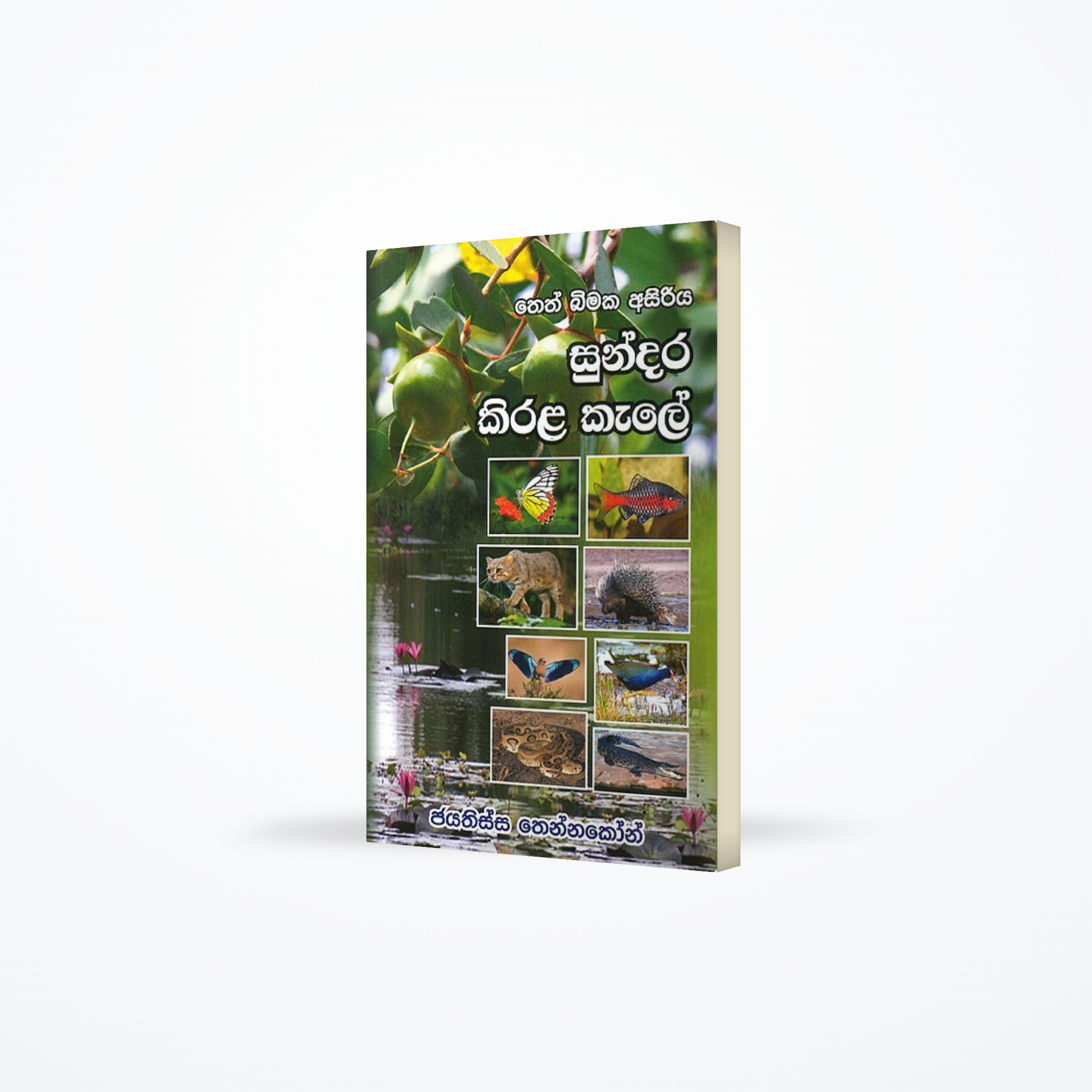 Theth bimaka asiriya - sundara kirala kale