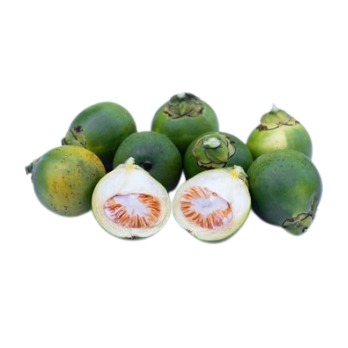 Lakpura® Young Baby Betel Nut (Areca catechu) Whole