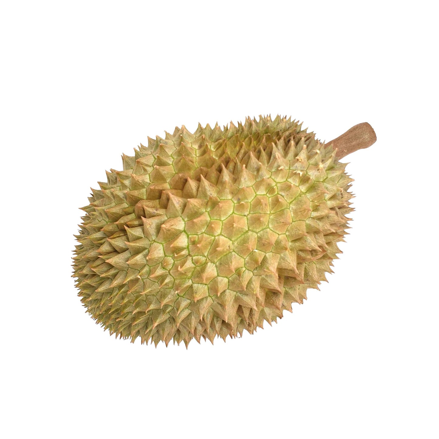 ラクプラ® ドリアン