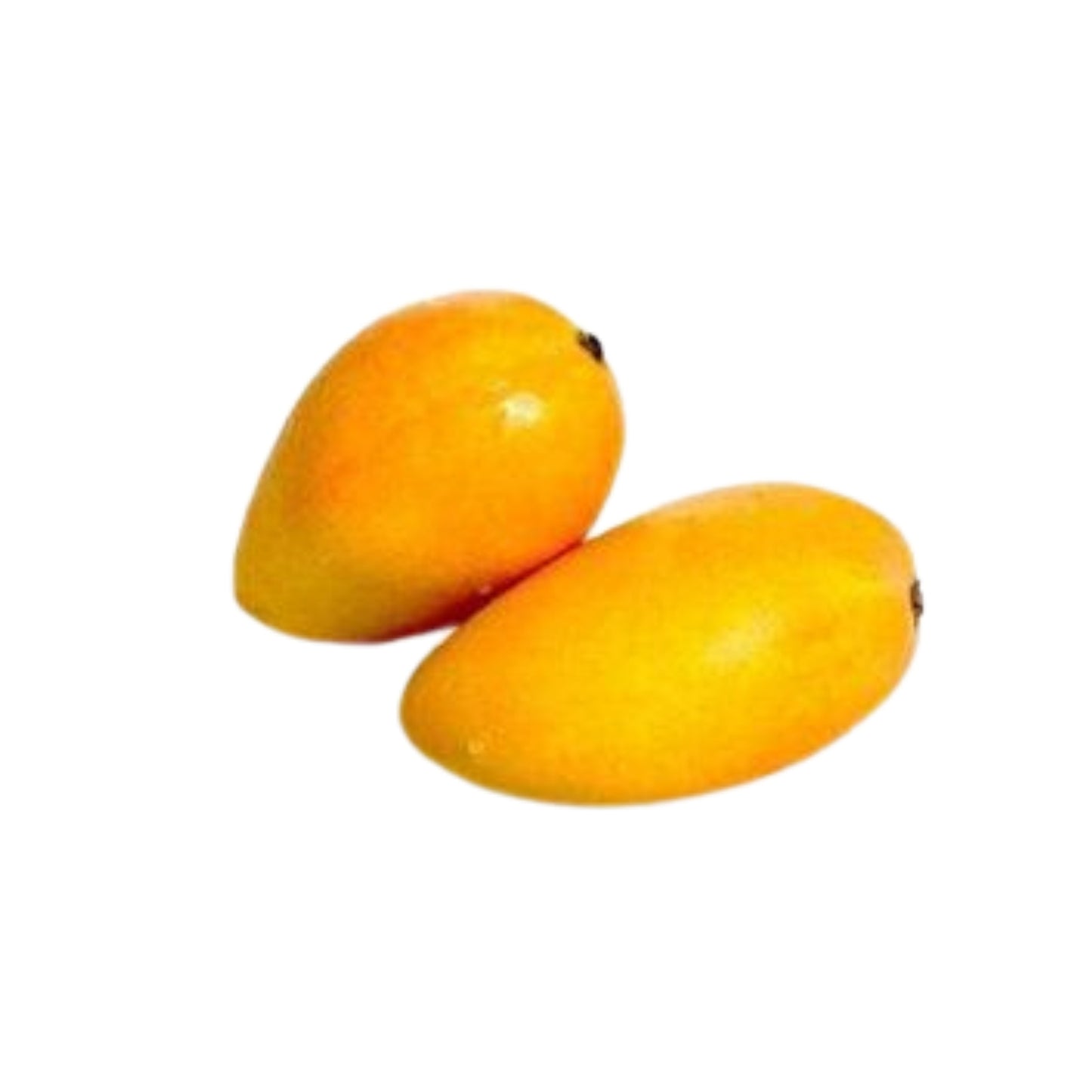 Lakpura® Alponsu 芒果嫁接植物