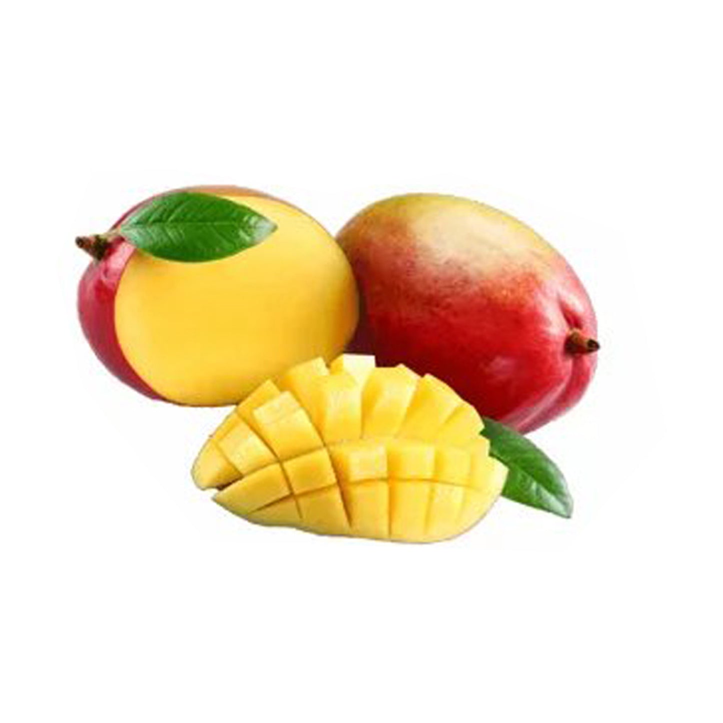 Vilad Mango (Vilad Mango) 水果植物
