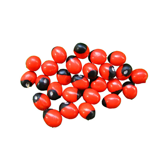 Lakpura® Olinda(摩洛哥阿布鲁斯)种子