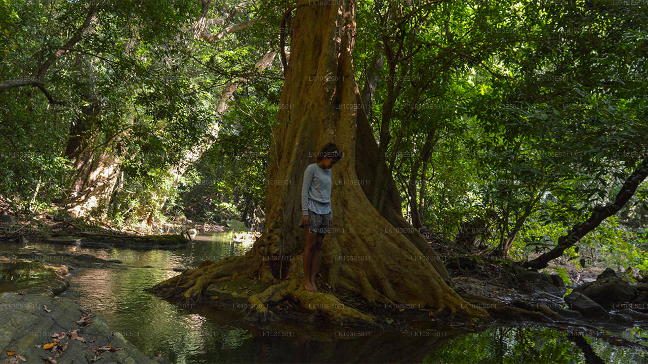 Eco Tours of Sri Lanka (3 Days)