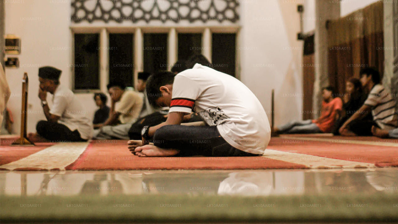 جولة سريلانكا الحلال (الإسلامية) (10 أيام)