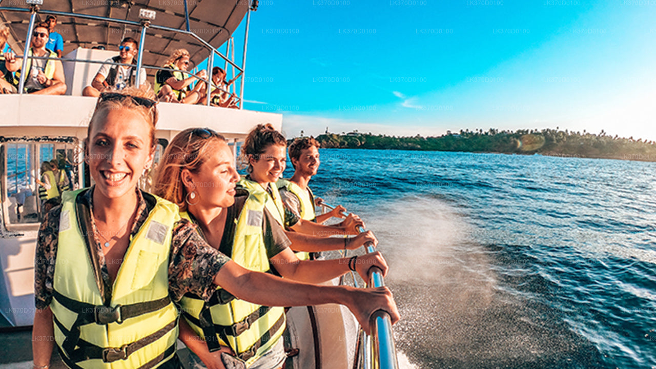 Whale Watching from Bentota on Shared Boat