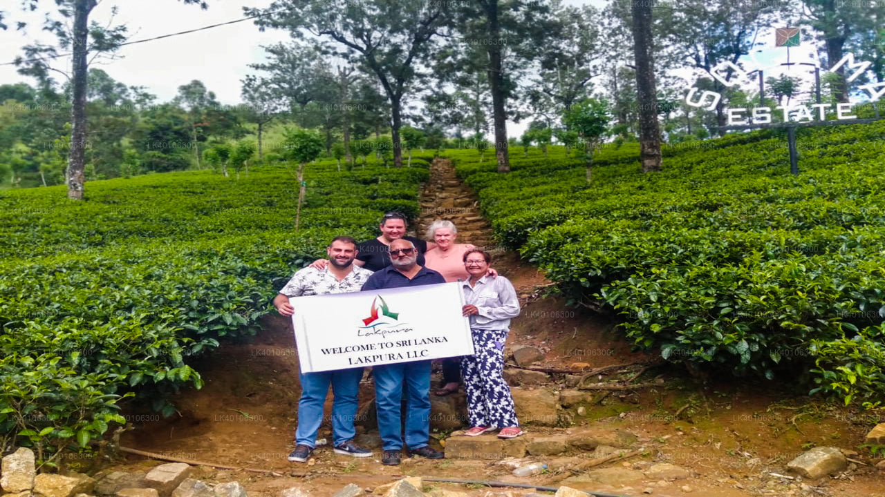 Colombo Havalimanı (SPK) Nuwara Eliya Şehri"ne Özel Transfer