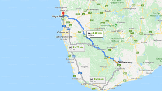 Privater Transfer von Udawalawe City nach Negombo City
