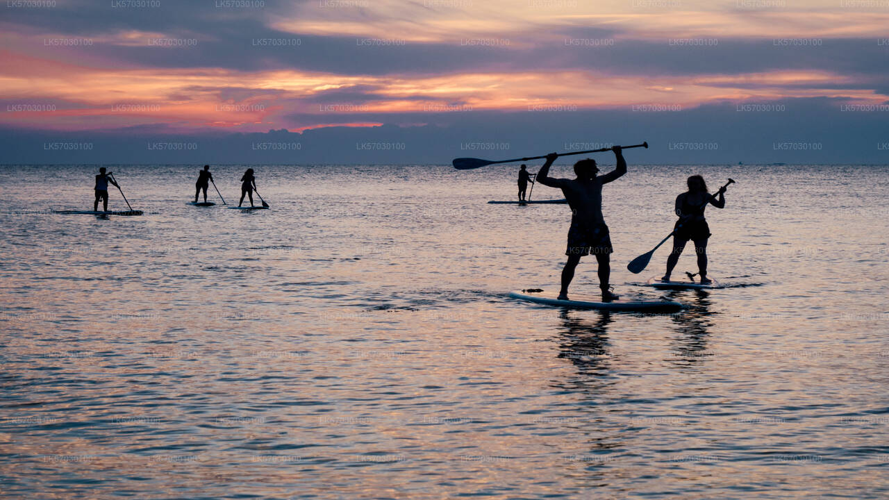 Water Sports from Bentota