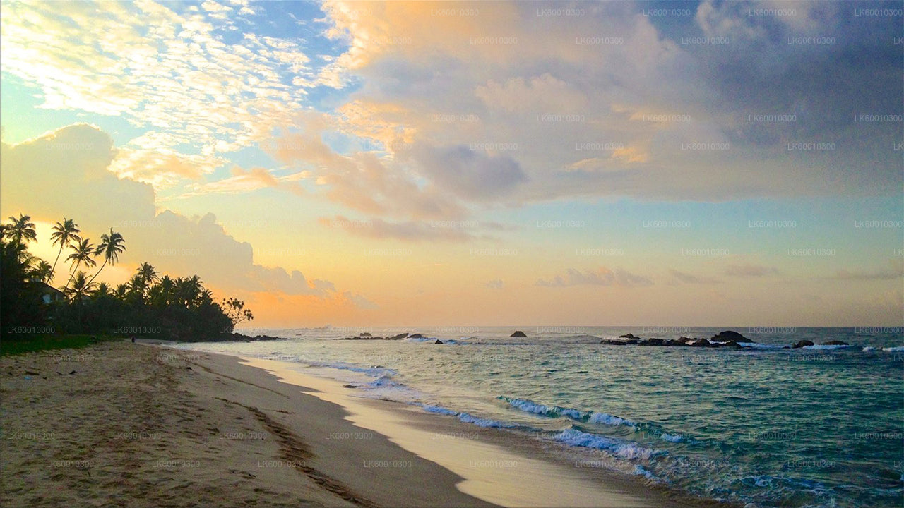 Handungoda, Galle and Kosgoda from Colombo