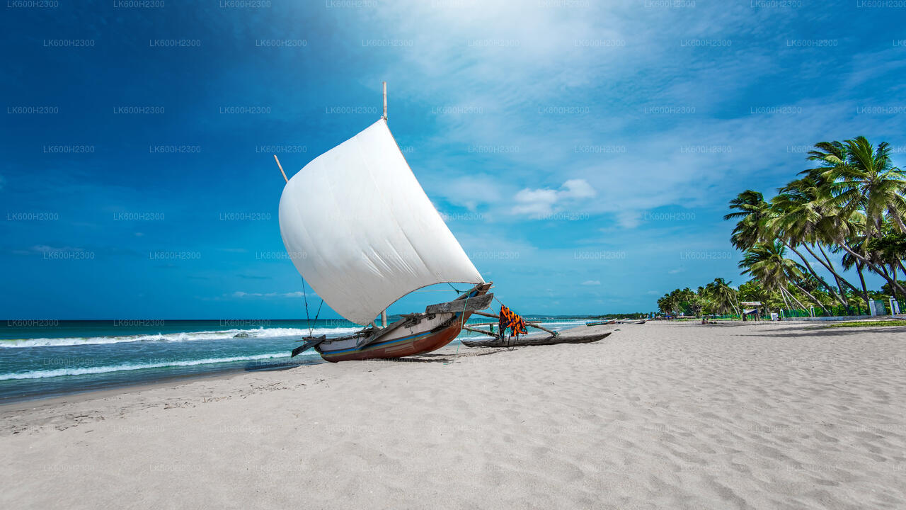 Visite de la ville de Negombo au départ de Colombo