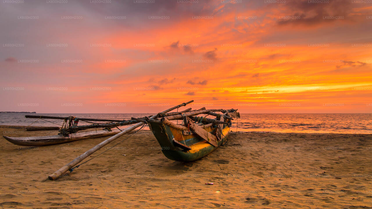 Visite de la ville de Negombo au départ de Colombo