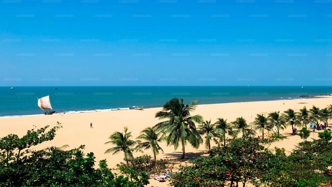 Visite de la ville de Negombo au départ de Colombo