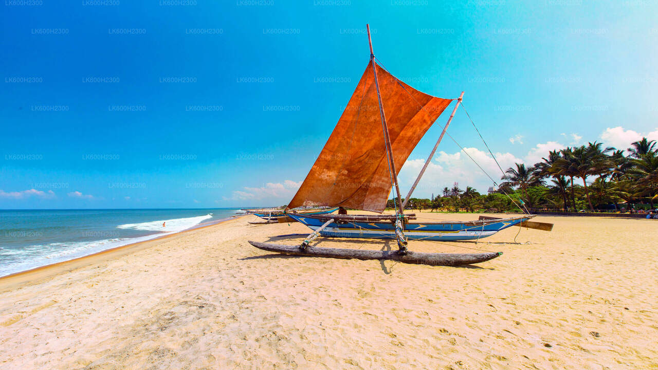 Visite de la ville de Negombo au départ de Colombo
