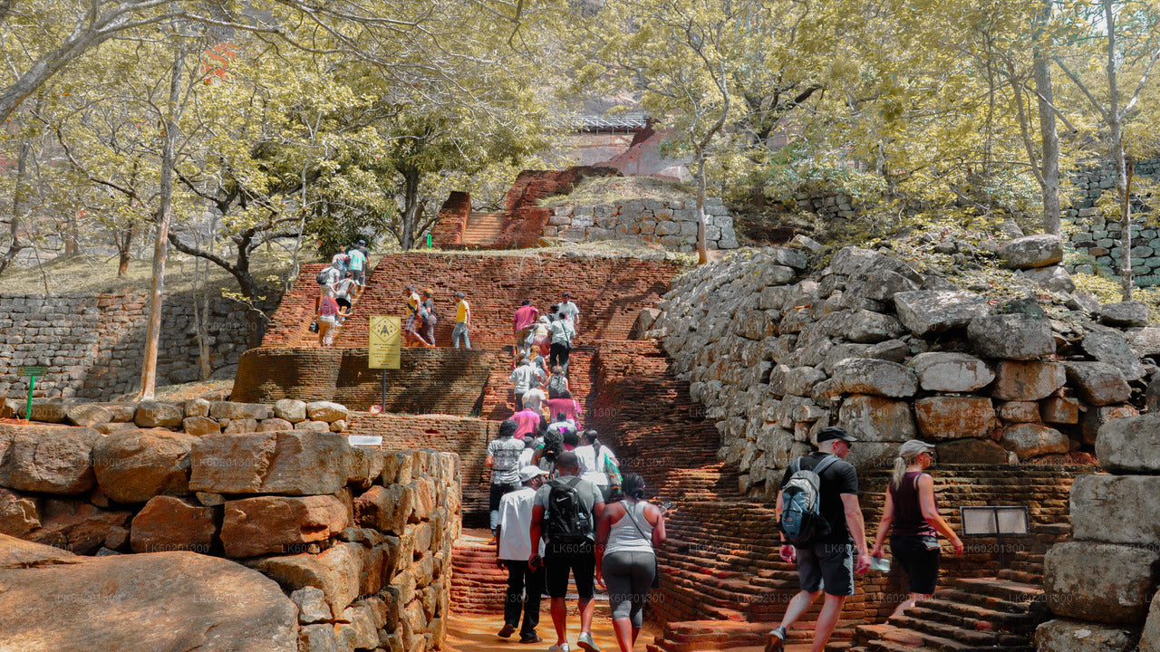 Sigiriya Rock and Village Tour from Sigiriya