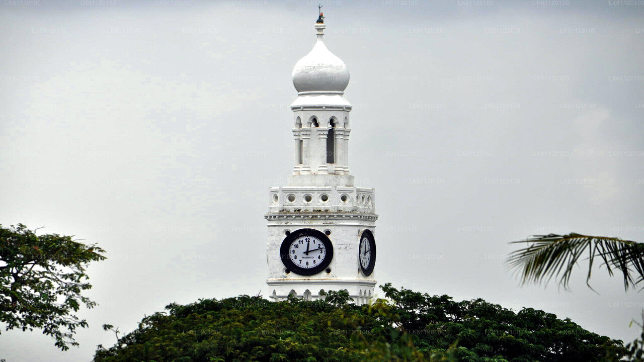 Passeio pela cidade de Jaffna