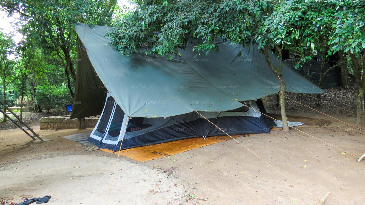 zelten im nationalpark Eine Nacht Camping im Wasgamuwa-Nationalpark – Lakpura®