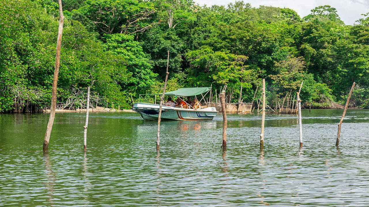 Madu River Safari and Turtle Hatchery from Kosgoda