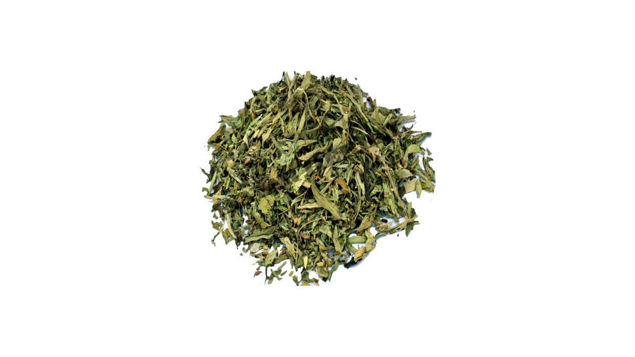 Foglie di pawatta alle erbe disidratate Lakpura (Justicia Adhatoda) (100g)