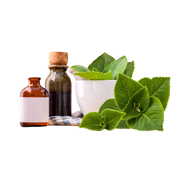 Kapparawalliya Products