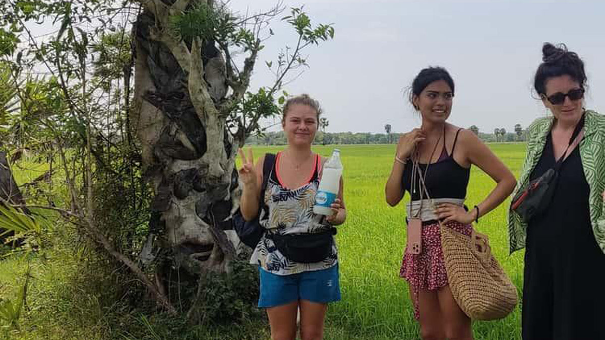 Palmyra Toddy Tour from Jaffna