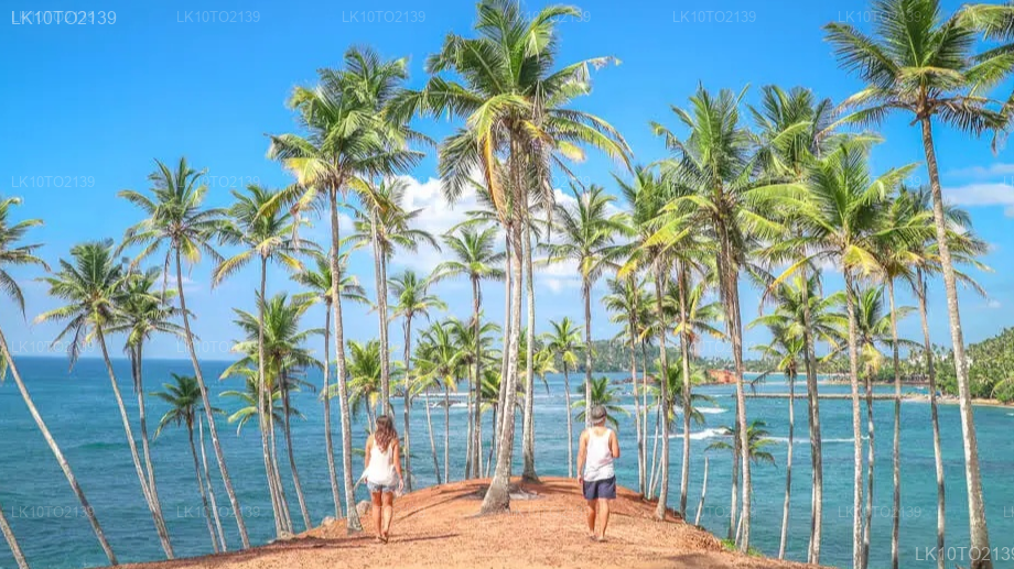 Private Tour from Mirissa to Arugam bay with Yala Safari