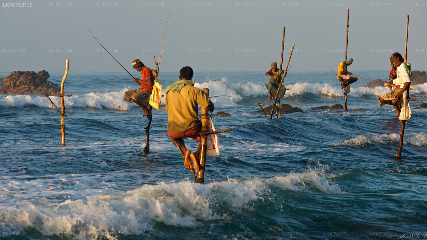 Private Tour from Mirissa to Arugam bay with Yala Safari