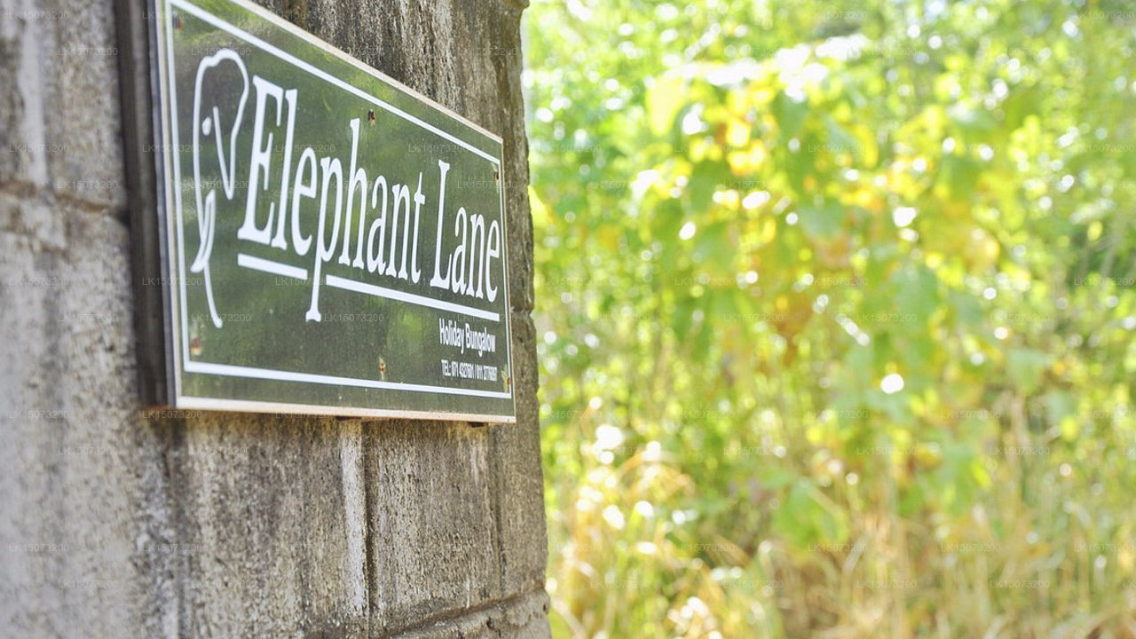 Elephant Lane Ferienresort, Udawalawe 