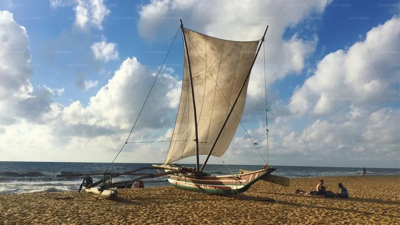 Green Gardens, Negombo