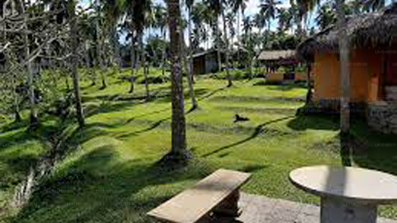 Palmenvilla, Biyagama