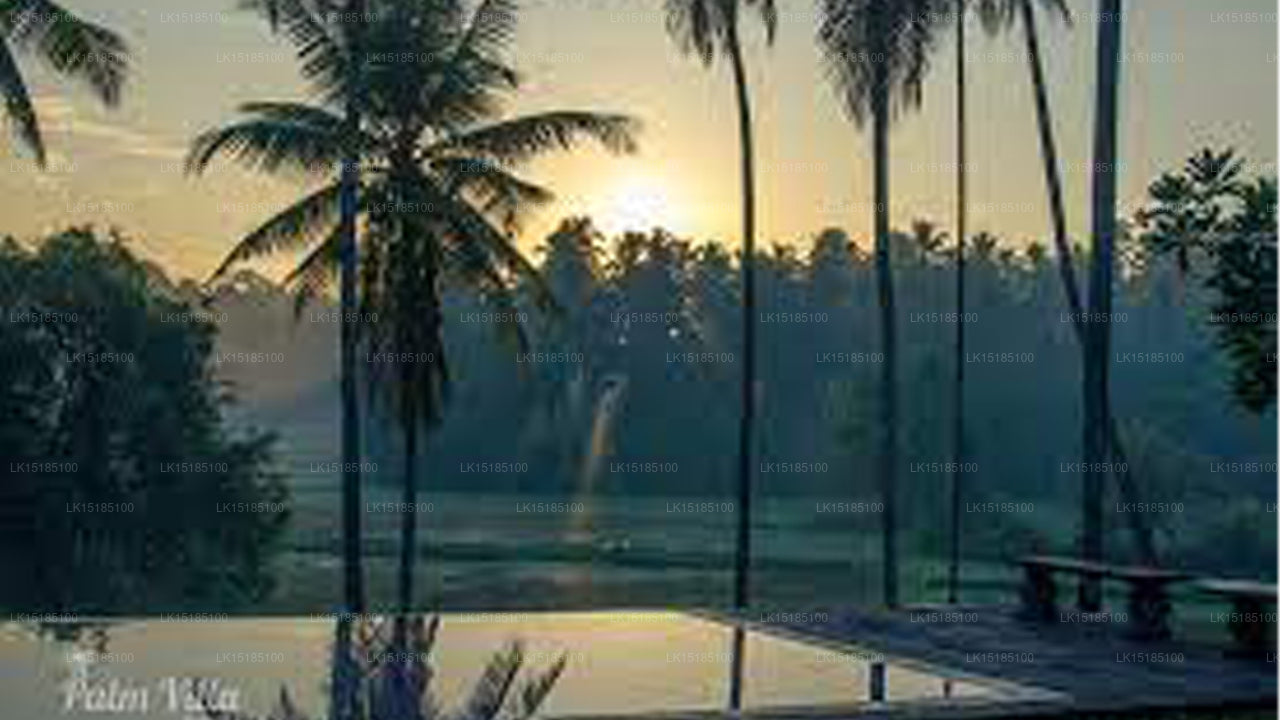 Palmenvilla, Biyagama