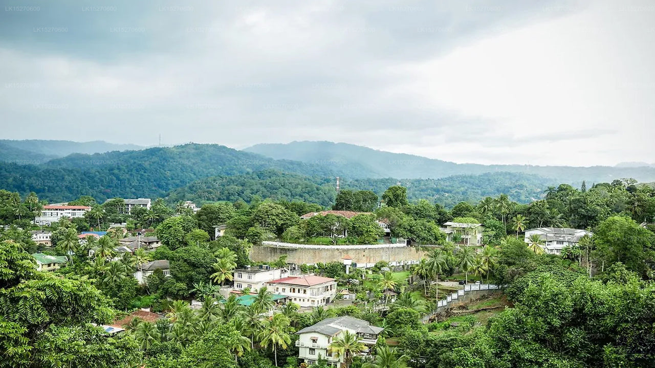 Che's Villa, Kandy
