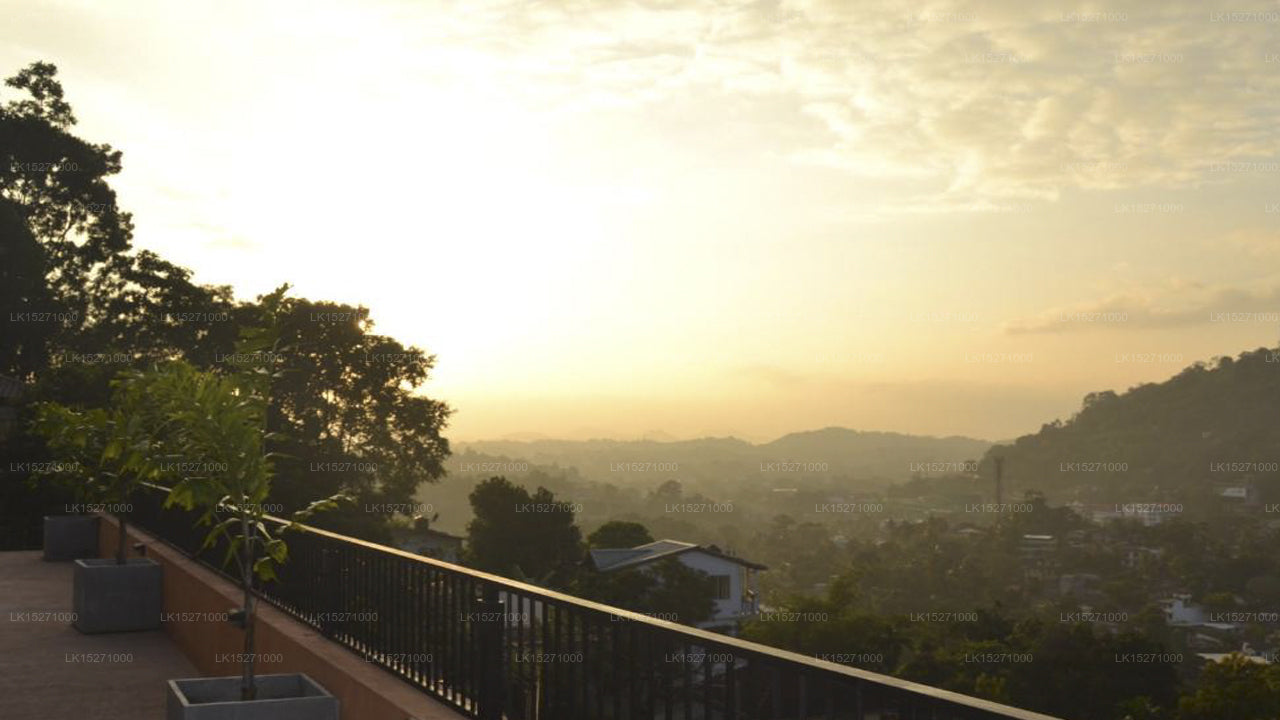 Feel Home, Kandy