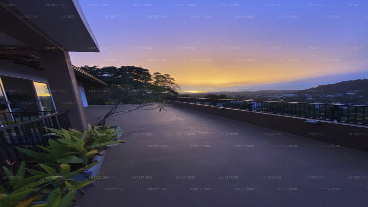 Feel Home, Kandy