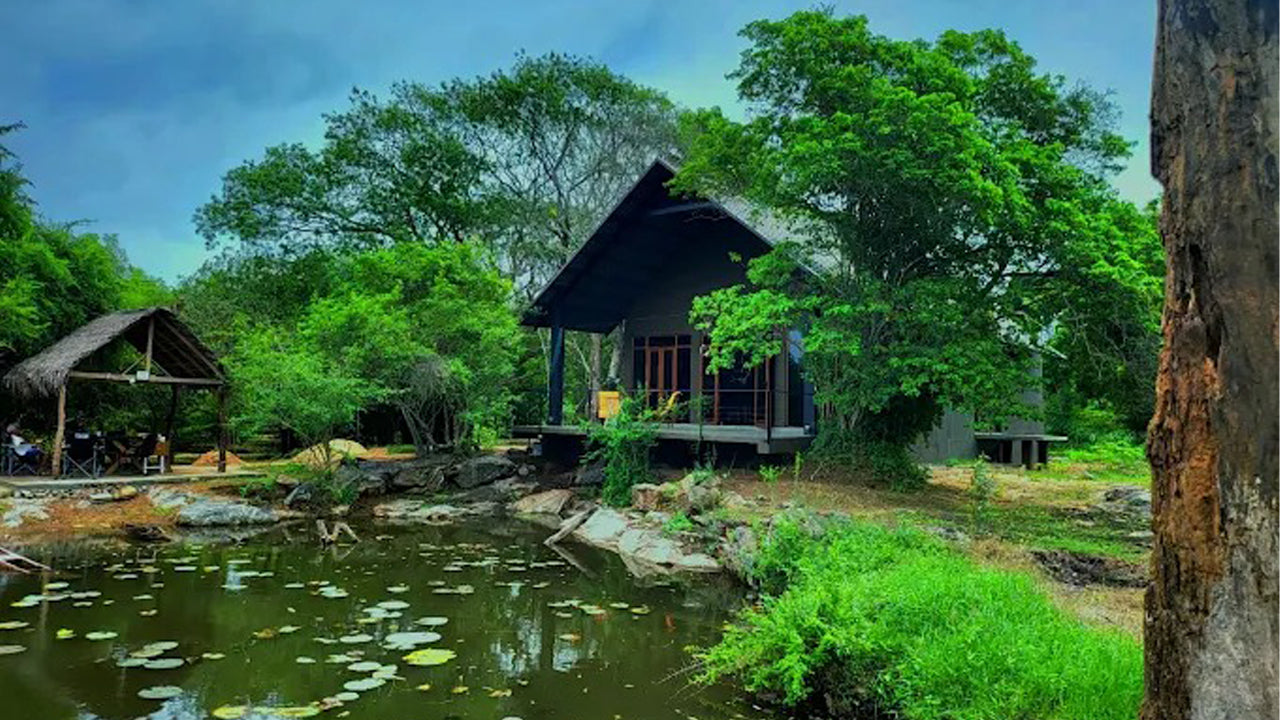 Turtle Pond Wilpattu Resort, Wilpattu