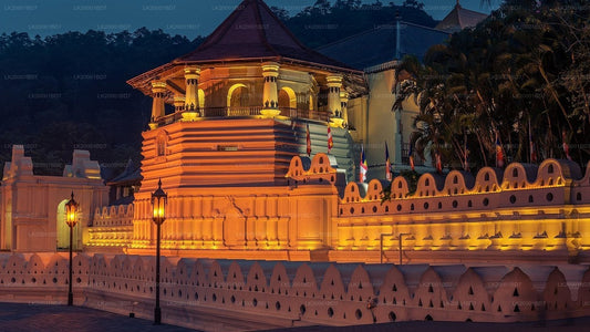 Temple of The Sacred Tooth Relic Guided tour with entrance tickets