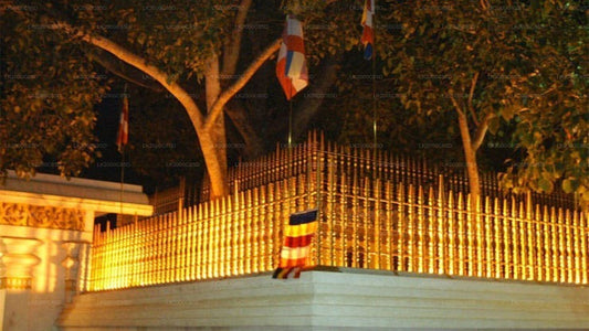 Anuradhapura Sacred Area Guided Tour with Entrance Tickets