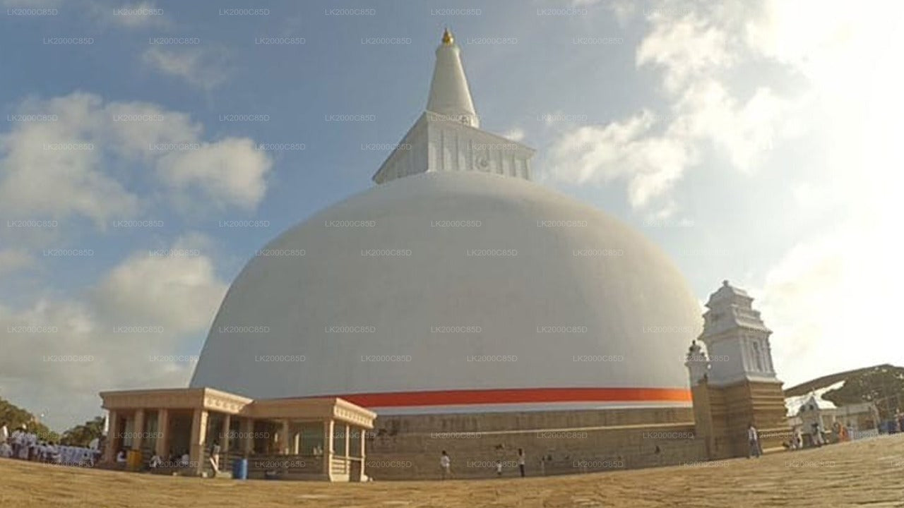 Anuradhapura: Guidet tur til det hellige område med entrébilletter