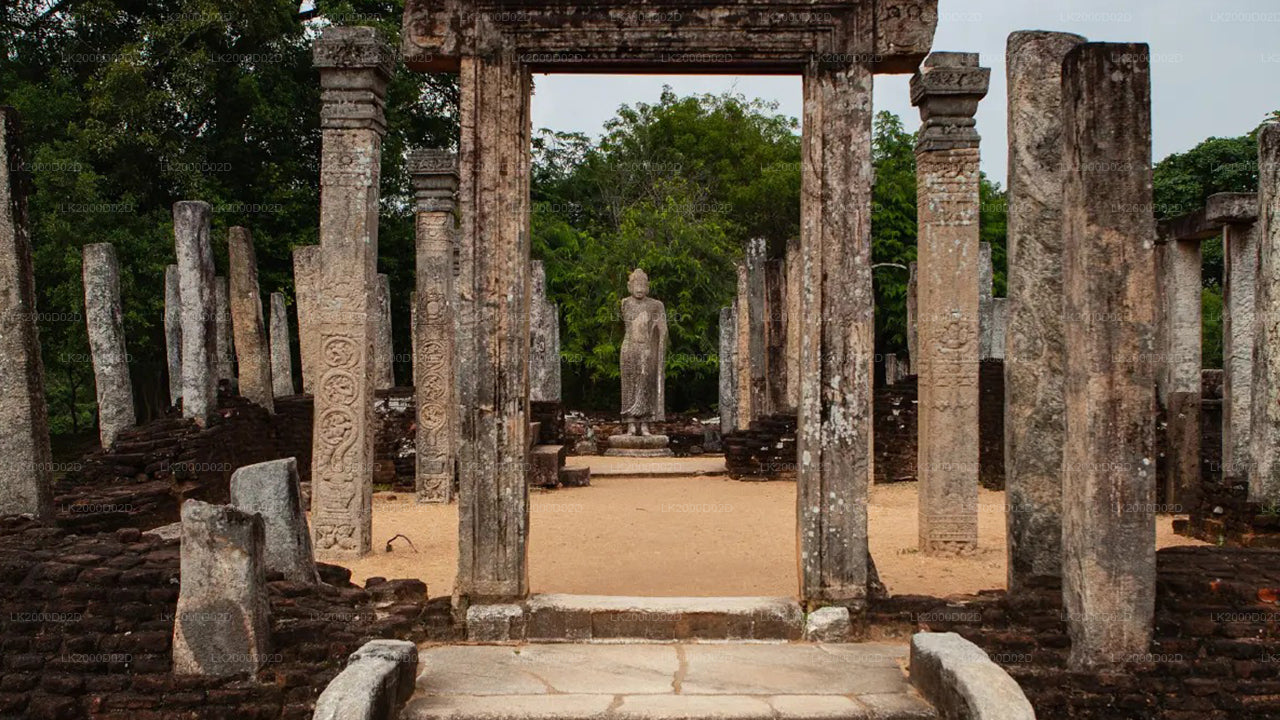 Polonnaruwa Ancient City Guided Tour with Entrance Tickets