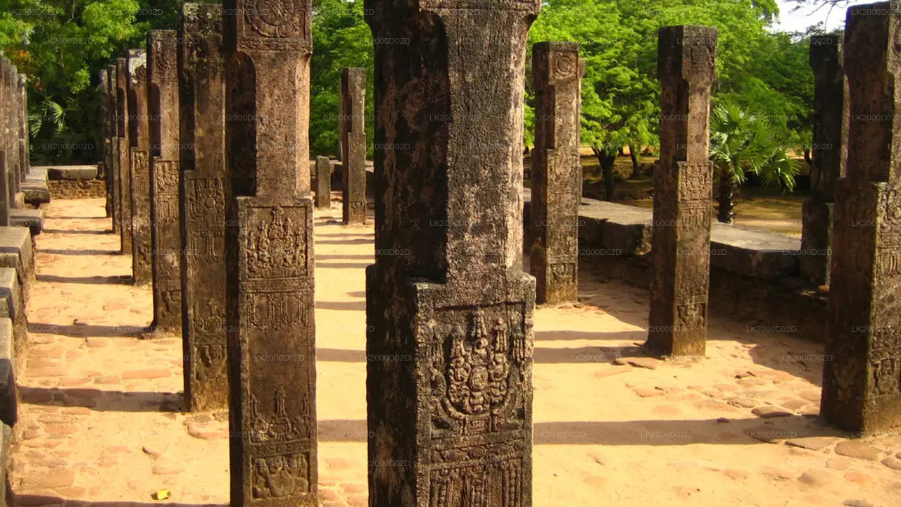 Polonnaruwa Ancient City Guided Tour with Entrance Tickets