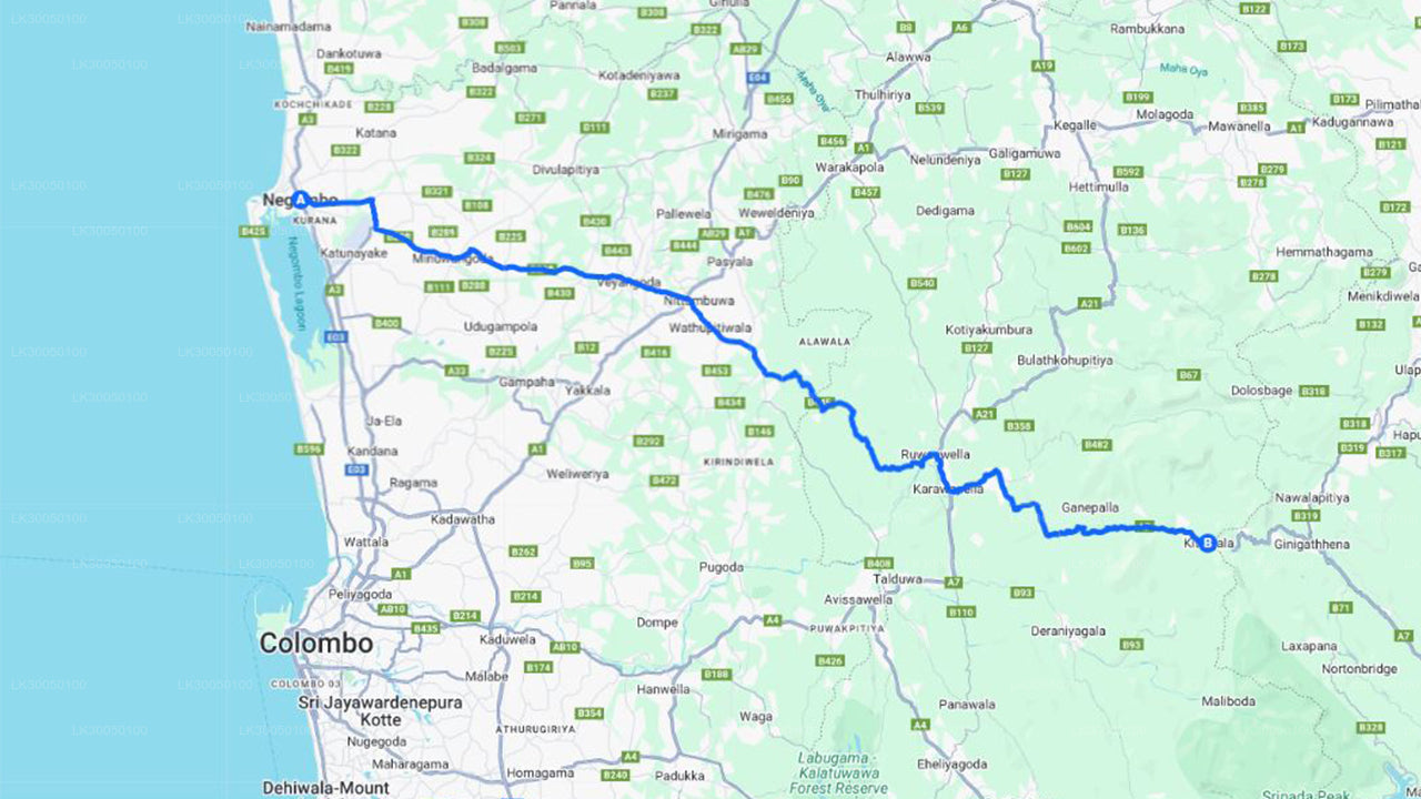 நீர்கொழும்பிலிருந்து வெள்ளை நீர் ராஃப்டிங்