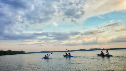 Kajaktur i lagunen fra Negombo