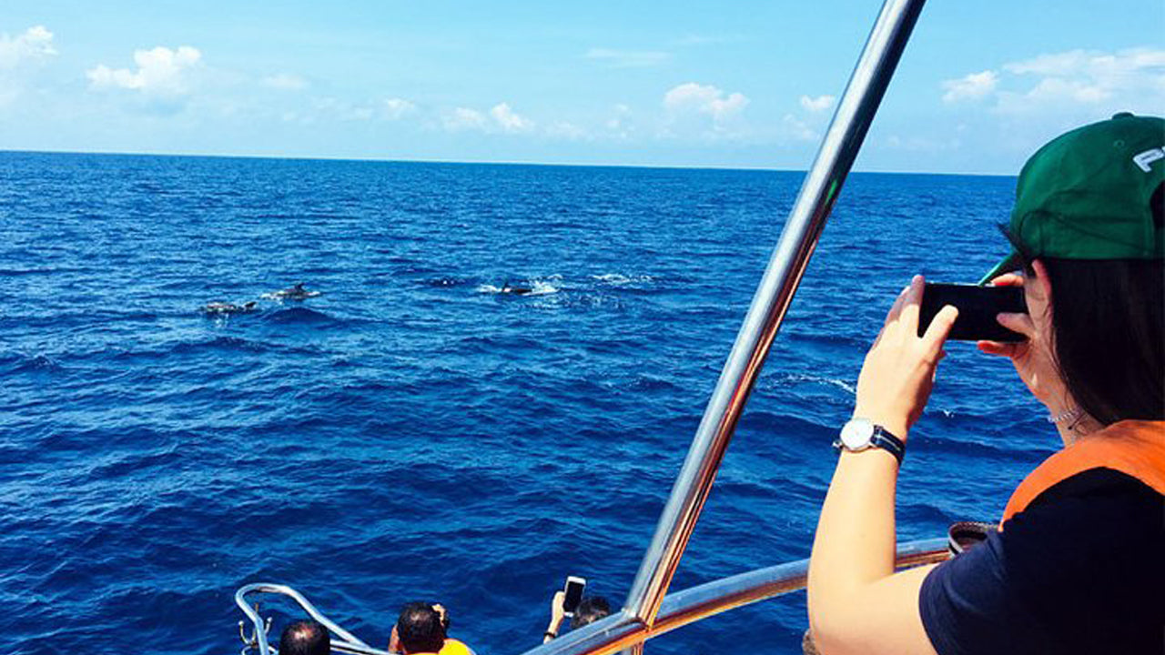 3-Hour Yacht Cruise from Mirissa