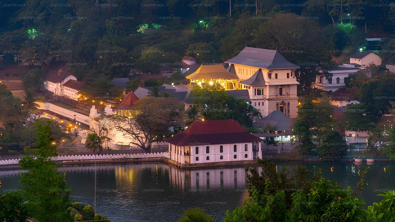 Ella to Kandy: A Scenic Journey by Train and Car or Van