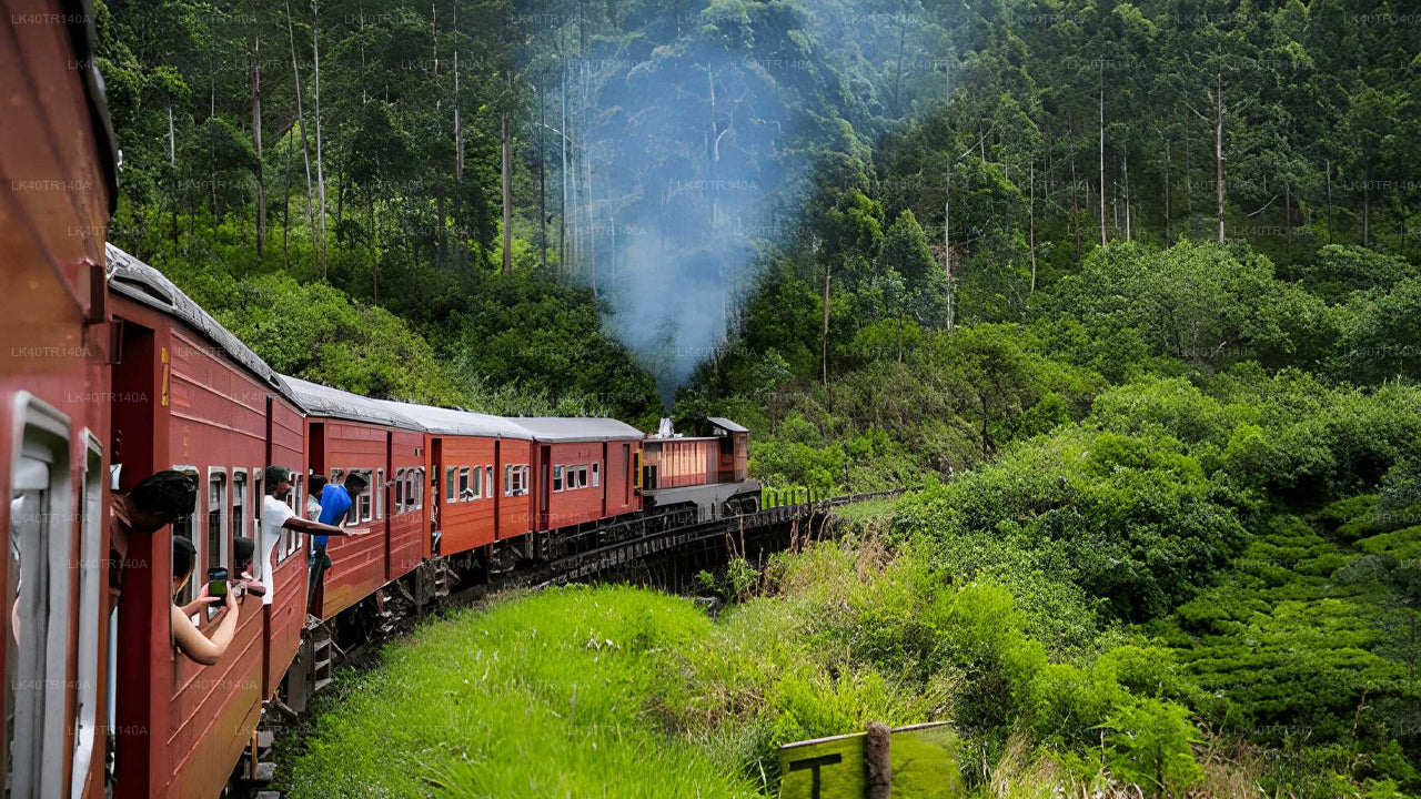 Ella to Kandy: A Scenic Journey by Train and Car or Van